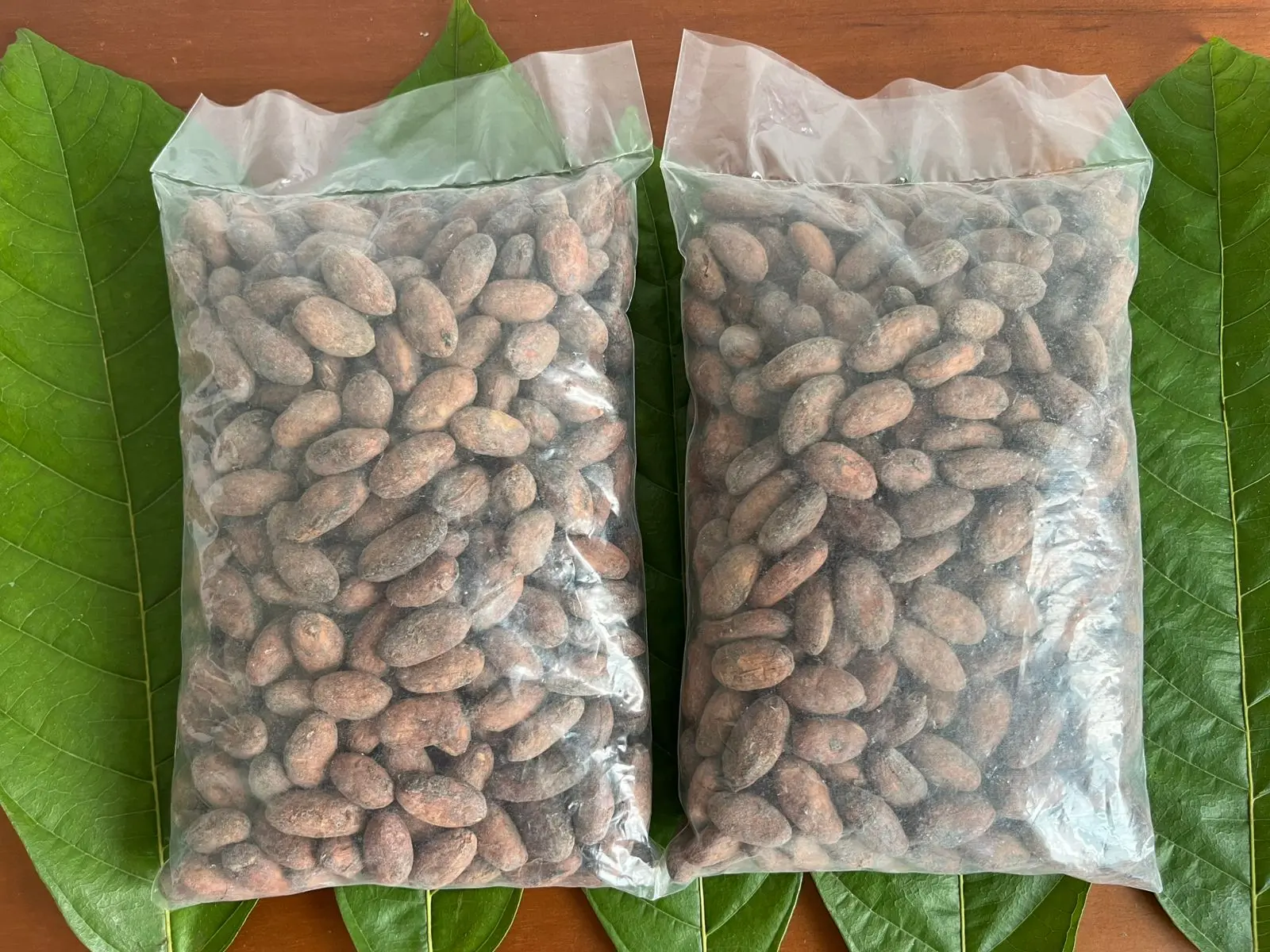 Cacao en grano seco en bolsa de presentación 1 kg – foto alternativa Fundo Maranatha