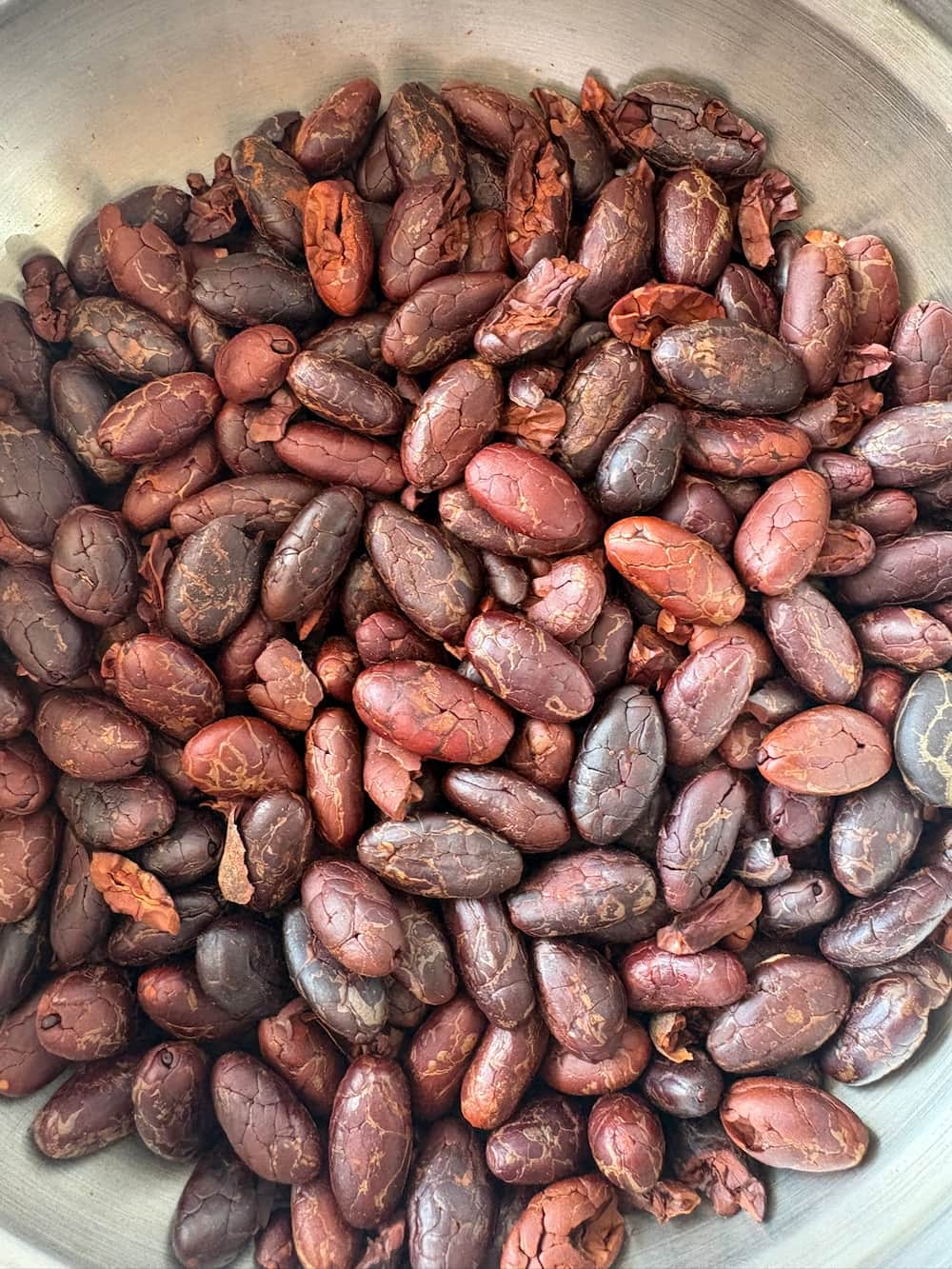 Cacao tostado pelado Fundo Maranatha