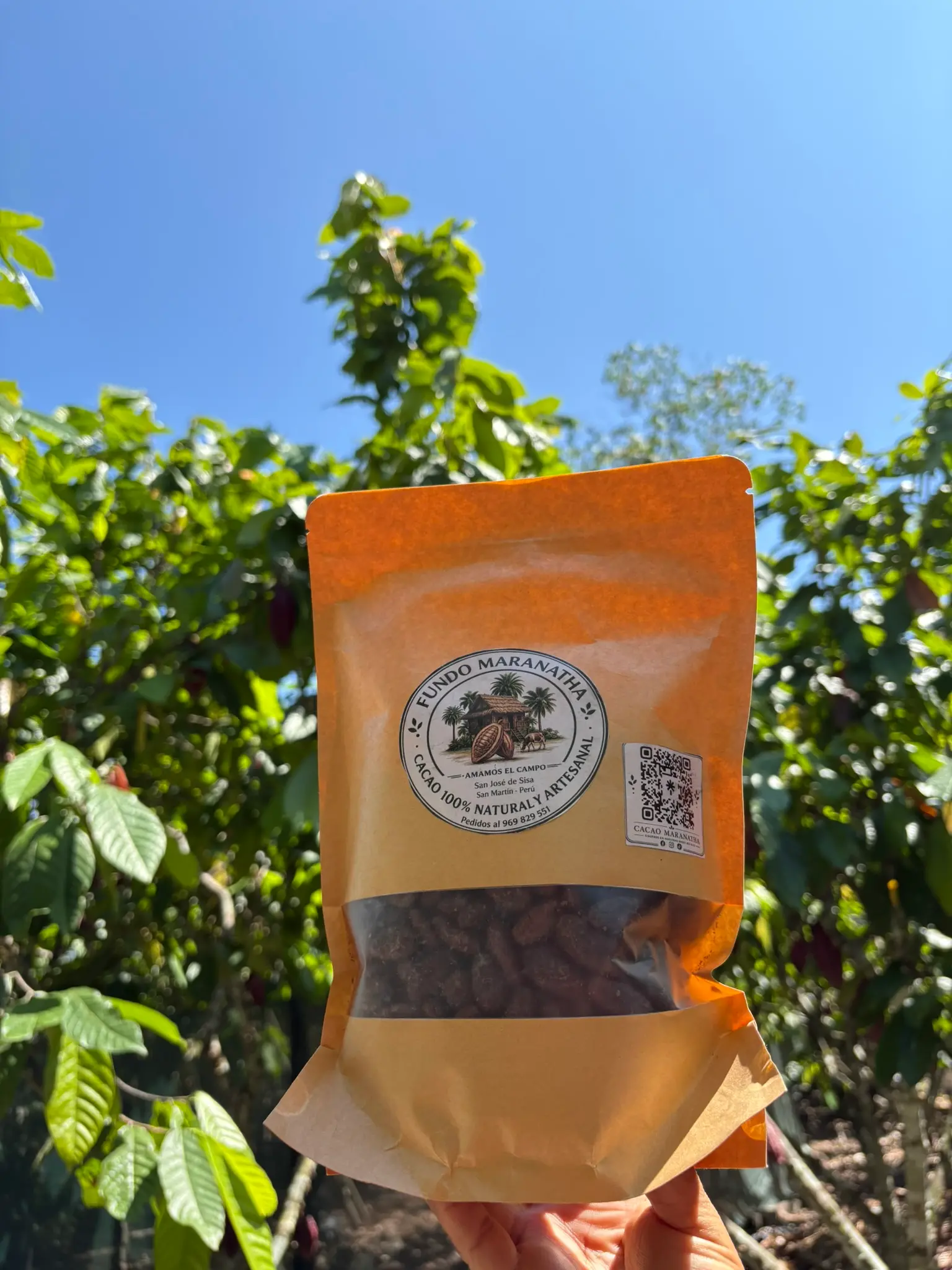 Cacao tostado pelado entero junto a plantas de cacao