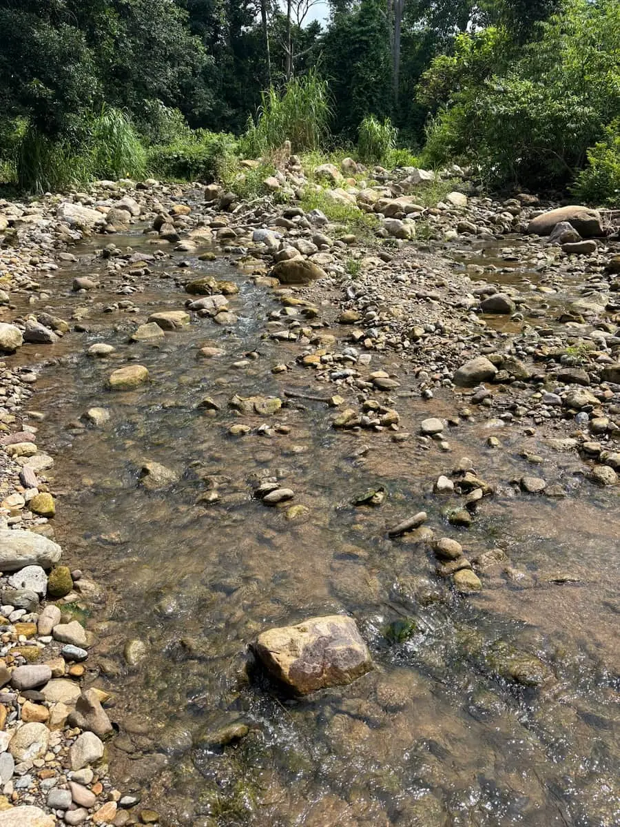Cuidando el agua de la quebrada y pequeño río junto al Fundo Maranatha