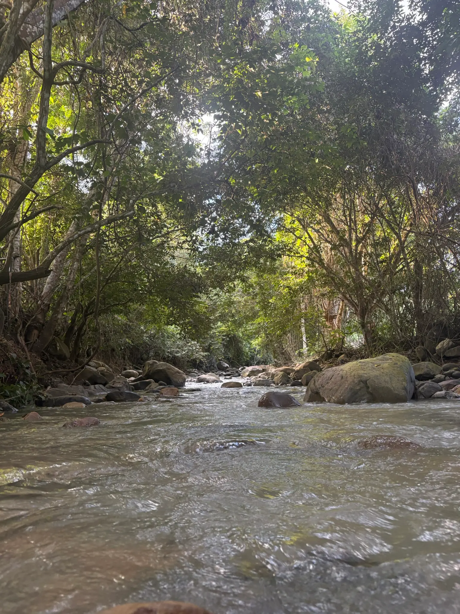 Quebrada y riachuelo al costado del Fundo Maranatha